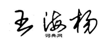 朱錫榮王海楊草書個性簽名怎么寫