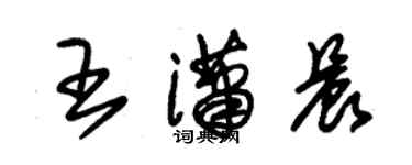 朱錫榮王瀟晨草書個性簽名怎么寫