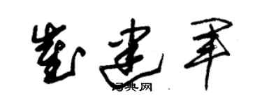 朱錫榮崔建軍草書個性簽名怎么寫