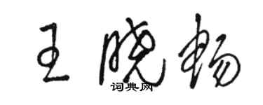 駱恆光王曉暢草書個性簽名怎么寫