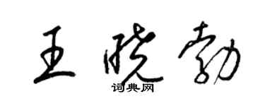 梁錦英王曉勃草書個性簽名怎么寫