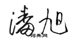 駱恆光潘旭草書個性簽名怎么寫