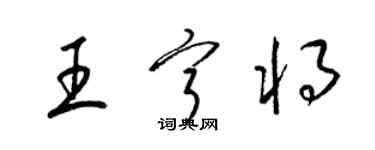 梁錦英王寧將草書個性簽名怎么寫