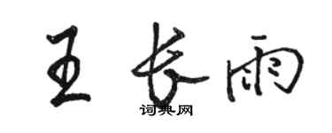 駱恆光王長雨行書個性簽名怎么寫