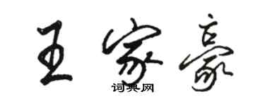 駱恆光王家豪行書個性簽名怎么寫