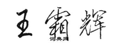 駱恆光王霜輝行書個性簽名怎么寫