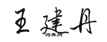 駱恆光王建丹行書個性簽名怎么寫