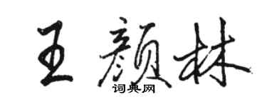 駱恆光王顏林行書個性簽名怎么寫