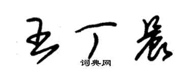 朱錫榮王丁晨草書個性簽名怎么寫