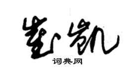 朱錫榮崔凱草書個性簽名怎么寫