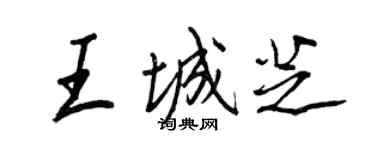 王正良王城芝行書個性簽名怎么寫