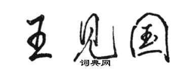 駱恆光王見國行書個性簽名怎么寫