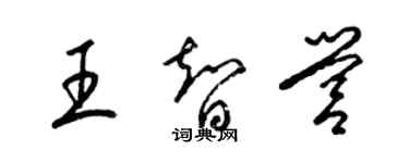 梁錦英王智營草書個性簽名怎么寫