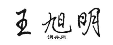 駱恆光王旭明行書個性簽名怎么寫