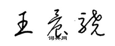 梁錦英王晨驍草書個性簽名怎么寫