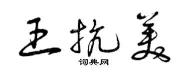 曾慶福王抗美草書個性簽名怎么寫