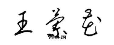 梁錦英王蘭花草書個性簽名怎么寫