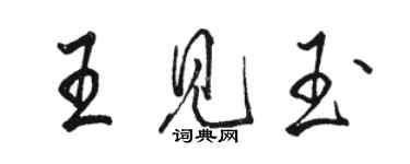 駱恆光王見玉行書個性簽名怎么寫