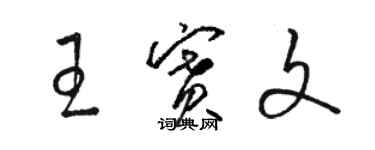 駱恆光王賽文草書個性簽名怎么寫