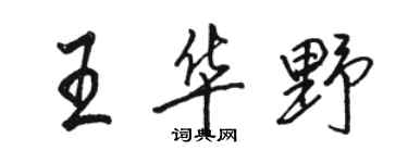 駱恆光王華野行書個性簽名怎么寫