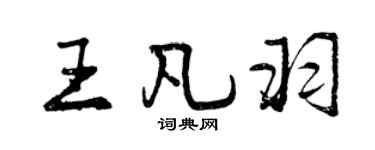 曾慶福王凡羽行書個性簽名怎么寫