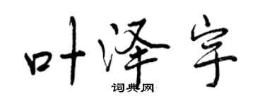 曾慶福葉澤宇行書個性簽名怎么寫