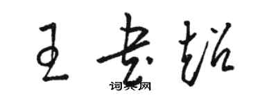 駱恆光王書超草書個性簽名怎么寫
