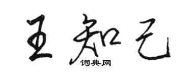 駱恆光王知己行書個性簽名怎么寫