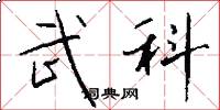 武科怎么寫好看