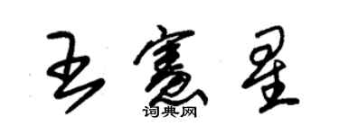 朱錫榮王憲星草書個性簽名怎么寫