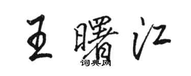 駱恆光王曙江行書個性簽名怎么寫