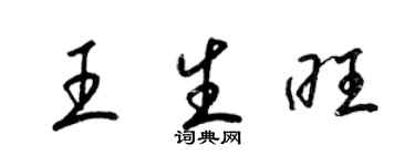梁錦英王生旺草書個性簽名怎么寫
