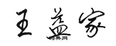 駱恆光王益家行書個性簽名怎么寫