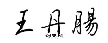 王正良王丹腸行書個性簽名怎么寫