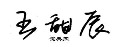 朱錫榮王甜辰草書個性簽名怎么寫