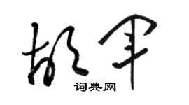 駱恆光胡軍草書個性簽名怎么寫