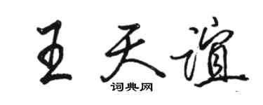 駱恆光王天誼行書個性簽名怎么寫