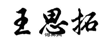 胡問遂王思拓行書個性簽名怎么寫