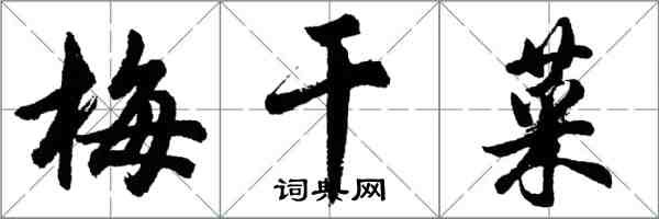 胡問遂梅乾菜行書怎么寫