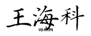 丁謙王海科楷書個性簽名怎么寫