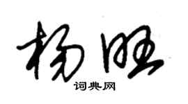 朱錫榮楊旺草書個性簽名怎么寫