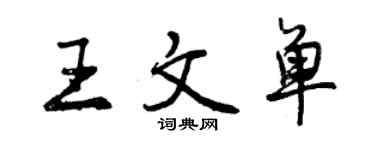 曾慶福王文單行書個性簽名怎么寫