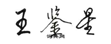 駱恆光王鑑星行書個性簽名怎么寫