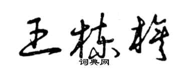 曾慶福王棟旗草書個性簽名怎么寫