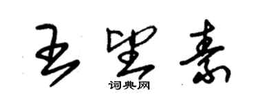 朱錫榮王望素草書個性簽名怎么寫