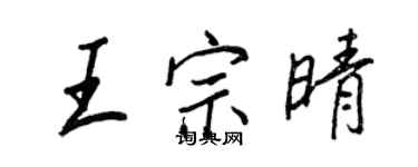 王正良王宗晴行書個性簽名怎么寫