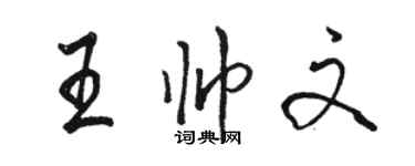 駱恆光王帥文行書個性簽名怎么寫