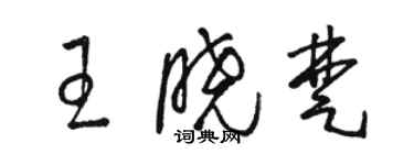 駱恆光王曉楚草書個性簽名怎么寫