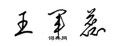 梁錦英王軍蕊草書個性簽名怎么寫