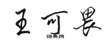 駱恆光王可畏行書個性簽名怎么寫